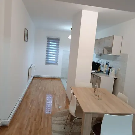 Appartement Vozic *