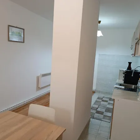 Appartement Vozic *